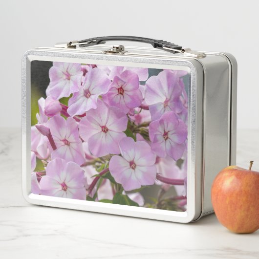Roze Phlox Bloem, Canadese Fotografie (In situ)