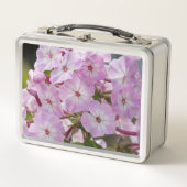 Roze Phlox Bloem, Canadese Fotografie (Voorkant)