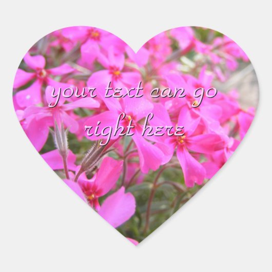 Roze Phlox Bloemen Stickers (Voorkant)