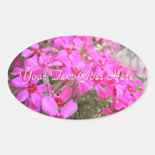 Roze Phlox Bloemen Stickers