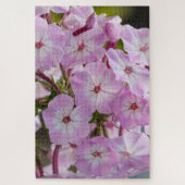 Roze Phlox, Canadese Wonder Legpuzzel (Verticaal)