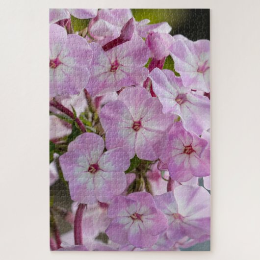 Roze Phlox, Canadese Wonder Legpuzzel (Verticaal)