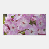 Roze Phlox Flower, Canadese fotografie Bureaumat (Voorkant)
