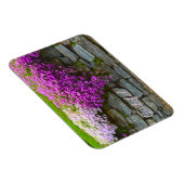 roze phlox Gratitude Magneet (Rechterzijde)