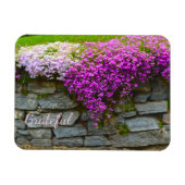  roze phlox Gratitude Magneet (Horizontaal)
