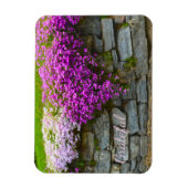roze phlox Gratitude Magneet (Verticaal)