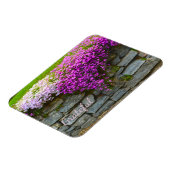 roze phlox Gratitude Magneet (Linkerzijde)