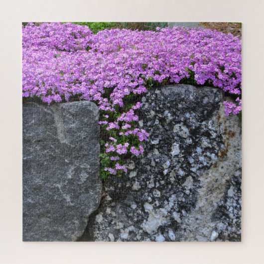 Roze Phlox op de vuilnisbelt Legpuzzel (Verticaal)