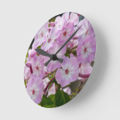 Roze Phlox Ronde Klok (Hoek)