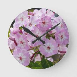 Roze Phlox Ronde Klok