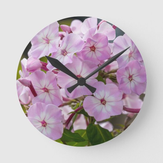 Roze Phlox Ronde Klok (Voorkant)