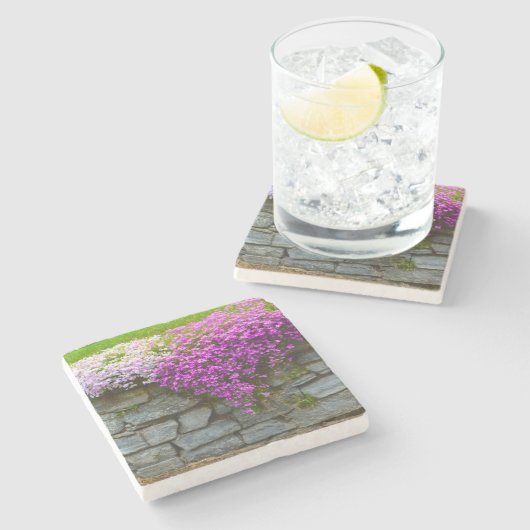 Roze Phlox Stone Onderzetter (Zijkant)