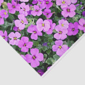 Roze Phlox Tissuepapier (Detail)