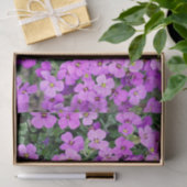 Roze Phlox Tissuepapier (Geschenk)