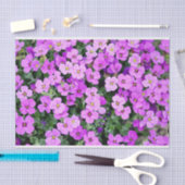 Roze Phlox Tissuepapier (Craft)