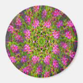  roze Phlox werveling.... Magneet (Voorkant)