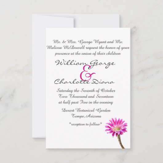 Roze Piazza cactus flower in bloem Kaart (Voorkant)