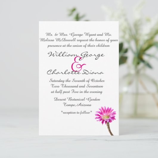 Roze Piazza cactus flower in bloem Kaart (Staand voorkant)