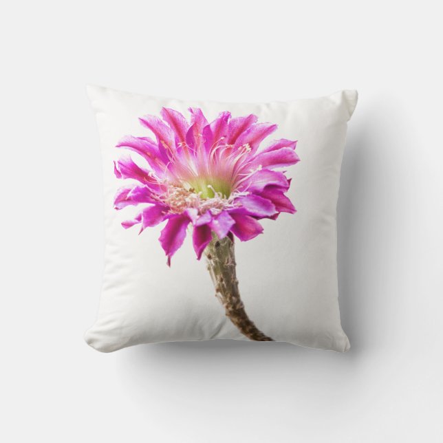 Roze Piazza cactus flower in bloem Kussen (Voorkant)