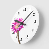 Roze Piazza cactus flower in bloem Ronde Klok (Hoek)