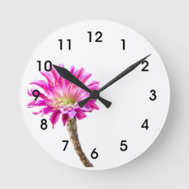 Roze Piazza cactus flower in bloem Ronde Klok