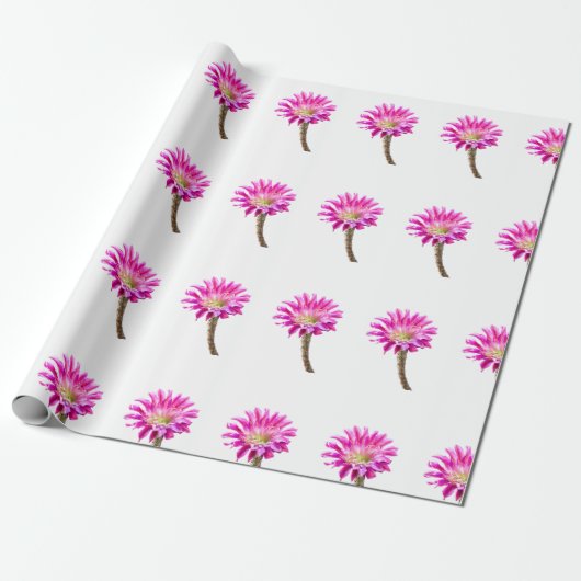 Roze Piazza cactusbloem in bloei Cadeaupapier (Uitgerold)