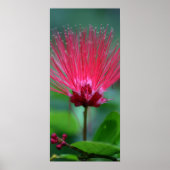 Roze pieken poster (Voorkant)