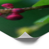 Roze pieken poster (Hoek)