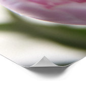 roze pinda ' s poster (Hoek)