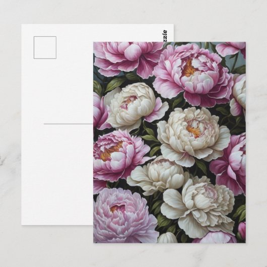 Roze pinda's briefkaart (Voorkant / Achterkant)