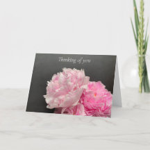 Roze pinda's met tekstruimte denken aan jou