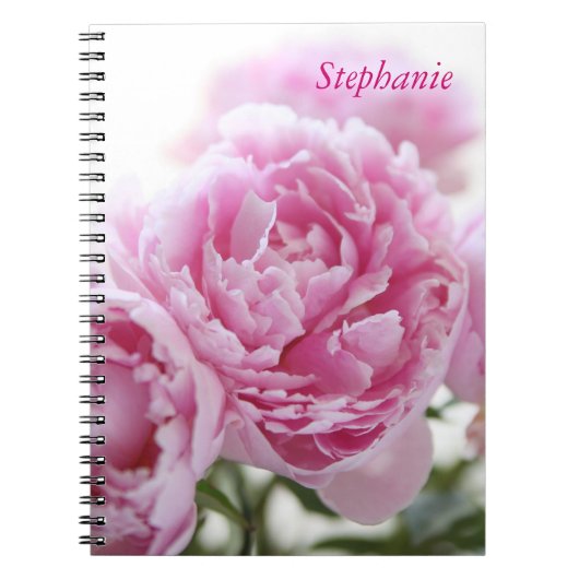 roze pinda's notebook notitieboek (Voorkant)