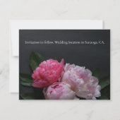 Roze pinda's op donkere achtergrond save the date (Achterkant)