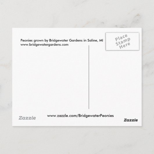 Roze pinda's / Peony Flowers Arrangement in Vase Briefkaart (Achterkant)