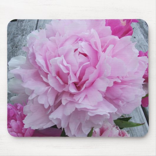 Roze pinda's/pony Flower Mouse Mat. Muismat (Voorkant)