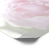 Roze pinda's vervagen kaarten en cadeaubord poster (Hoek)