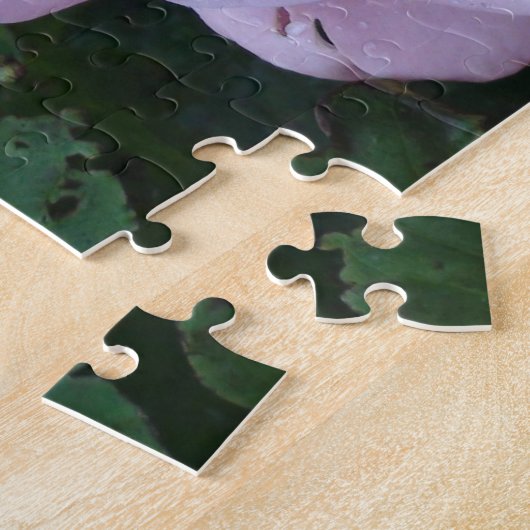 roze pindropen met regendruppels legpuzzel (Zijkant)