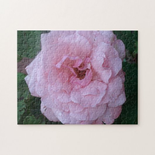  roze pindropen met regendruppels legpuzzel (Horizontaal)