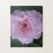  roze pindropen met regendruppels legpuzzel (Verticaal)