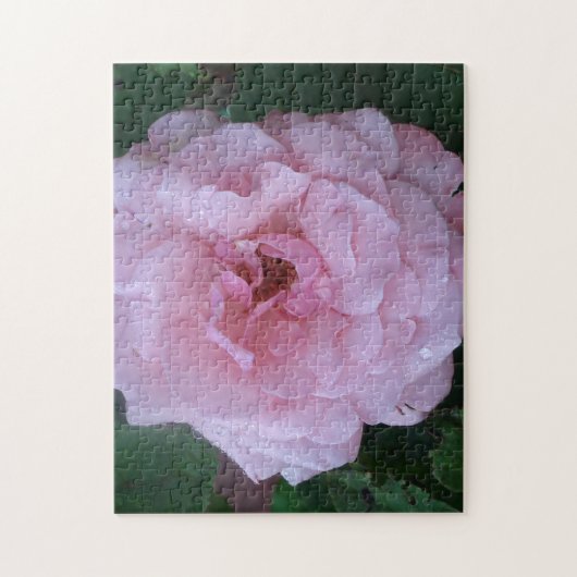  roze pindropen met regendruppels legpuzzel (Verticaal)