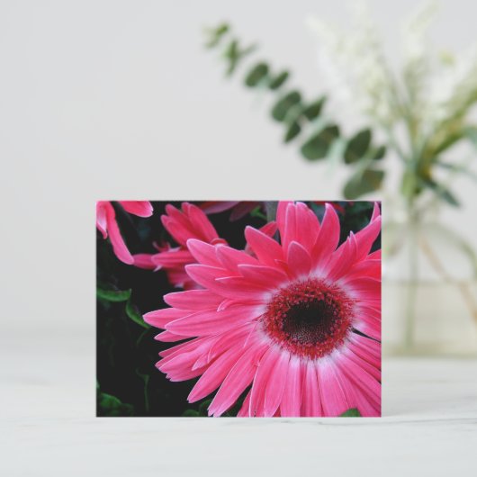 Roze Pinrad Briefkaart (Staand voorkant)