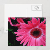 Roze Pinrad Briefkaart (Voorkant / Achterkant)