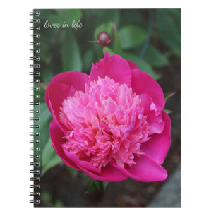 Roze Pioen & Baby Bud Notitieboek