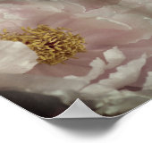 Roze Pioen Bloem Centrum Abstracte Vintage Poster (Hoek)