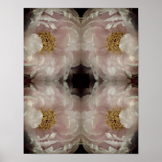 Roze Pioen Bloem Centrum Abstracte Vintage Poster (Voorkant)