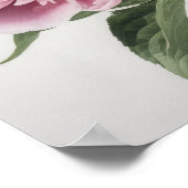 Roze Pioen Bloem Kunstprint Poster (Hoek)