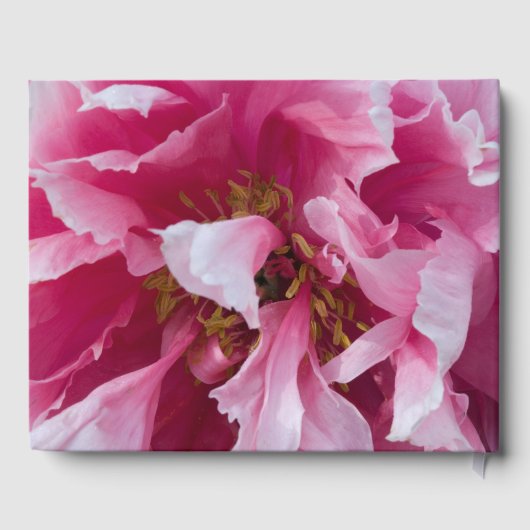 Roze Pioen Bloem Viering van het Leven Begrafenis Gastenboek (Achterkant)