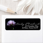 Roze Pioen Bloem Zwarte Achtergrond Etiket (Insitu)