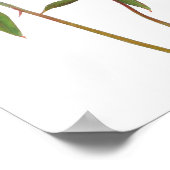 Roze Pioen Bloemen Art Print Poster (Hoek)