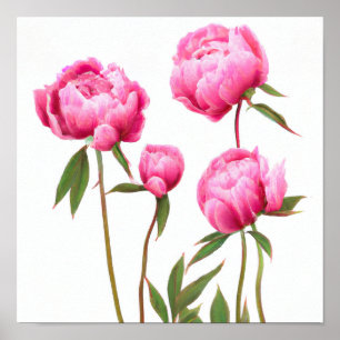 Roze Pioen Bloemen Art Print Poster